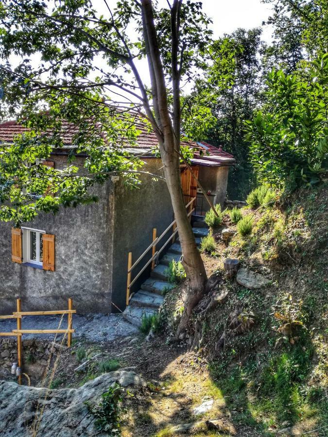 Berzuaia Bed & Breakfast Varazze Extérieur photo